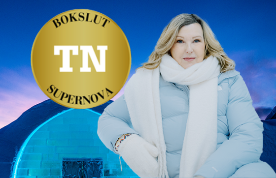 Marie Herrey, Icehotel.