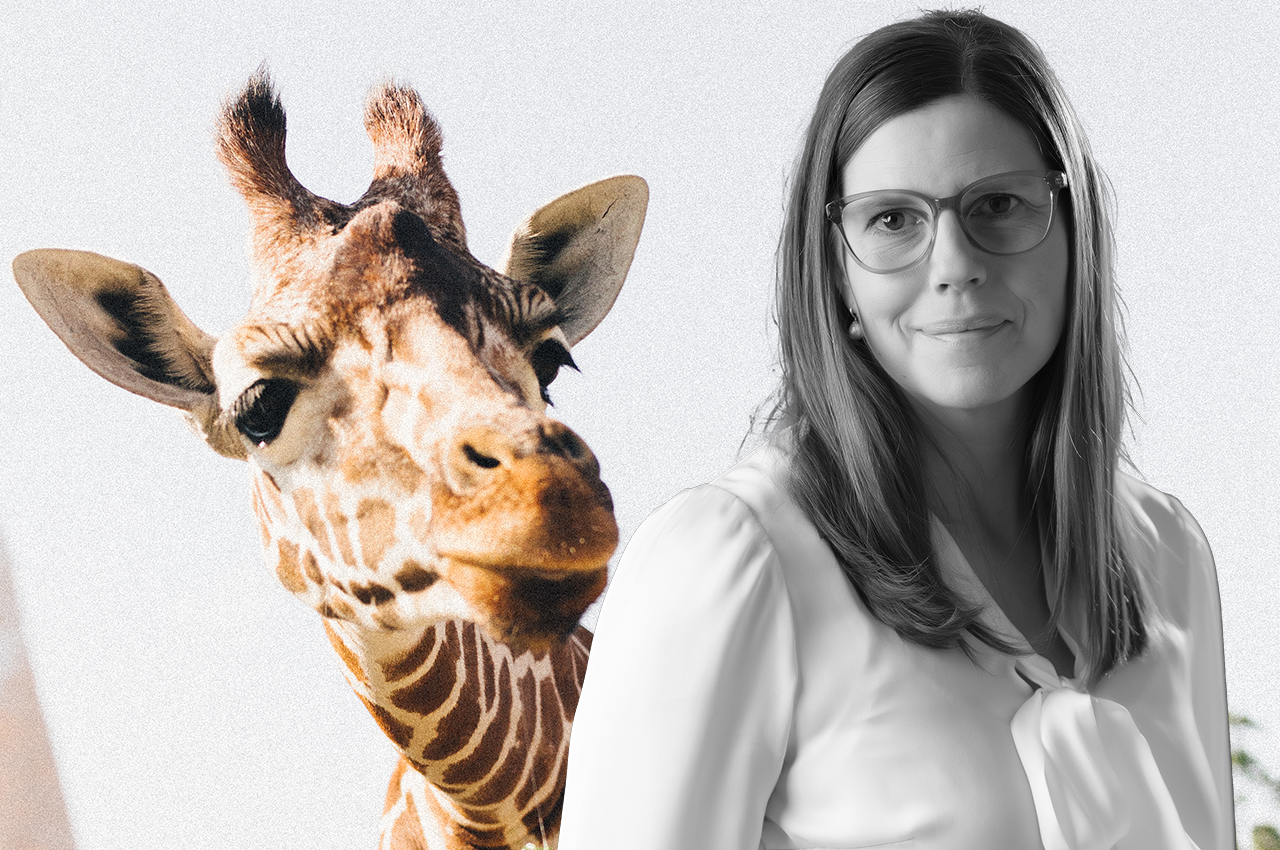 Hon tar över som ny vd för Kolmården – "det känns fantastiskt"