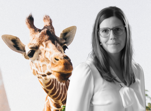 Hon tar över som ny vd för Kolmården – "det känns fantastiskt"