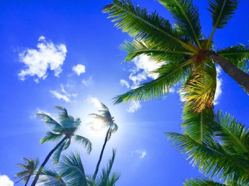 Hawaii först i USA med miljöskatt riktad mot besökare