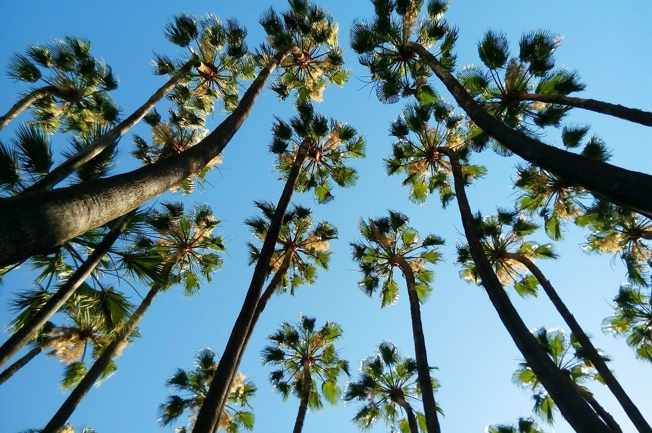 Drömmen som sprack: Citigroups Málaga-satsning avslutas efter bara tre år