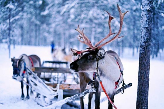 Finnair firar 70 år till Ivalo – utökar trafiken till Lappland