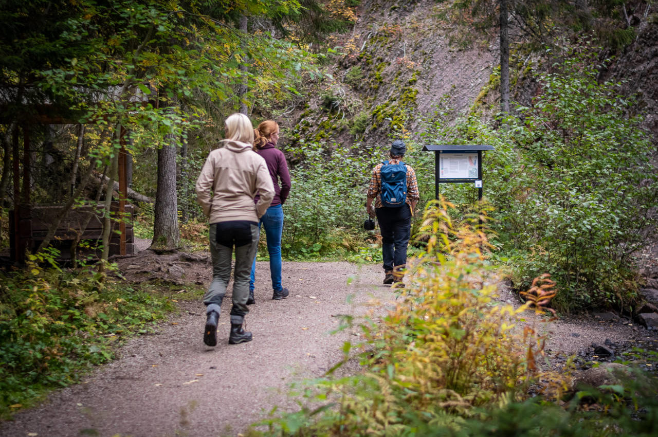 Rekordår för Dalarna – turismomsättning passerade 12 miljarder Rekordår för Dalarna – turismomsättning passerade 12 miljarder