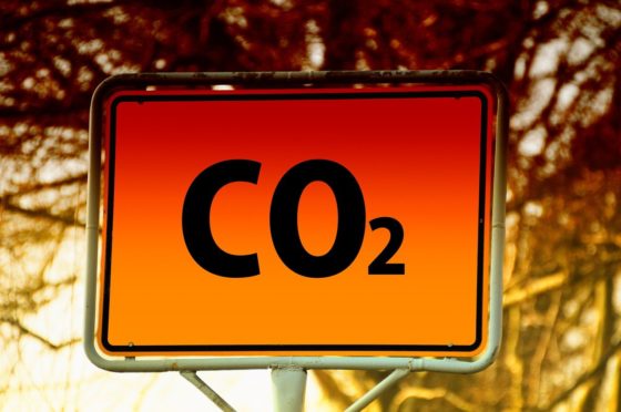 Nytt initiativ ska ena flyg- och turismbranschen i klimatfrågan