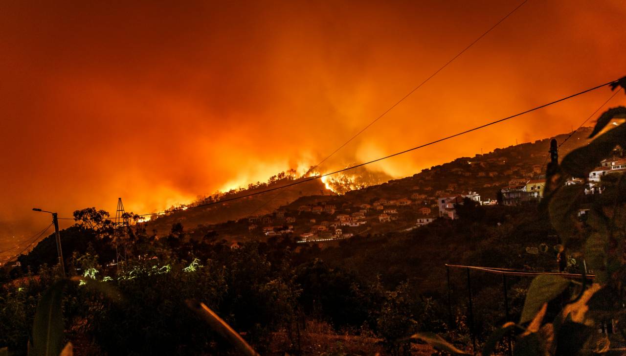 Skogsbrand härjar norr om Limassol