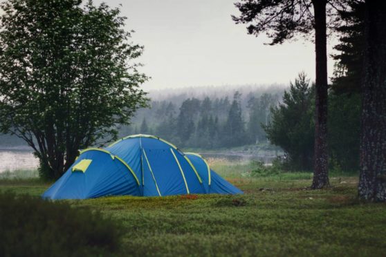 Britter älskar svensk camping – bokningarna ökar kraftigt