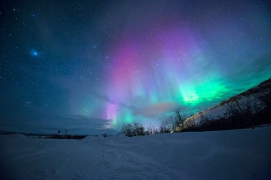 Foto: Unsplash