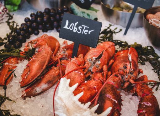 Foto: Unsplash