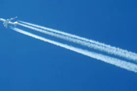 Fotograf: Wikimedia Commons, CC BY-SA 2.5 | André Karwath