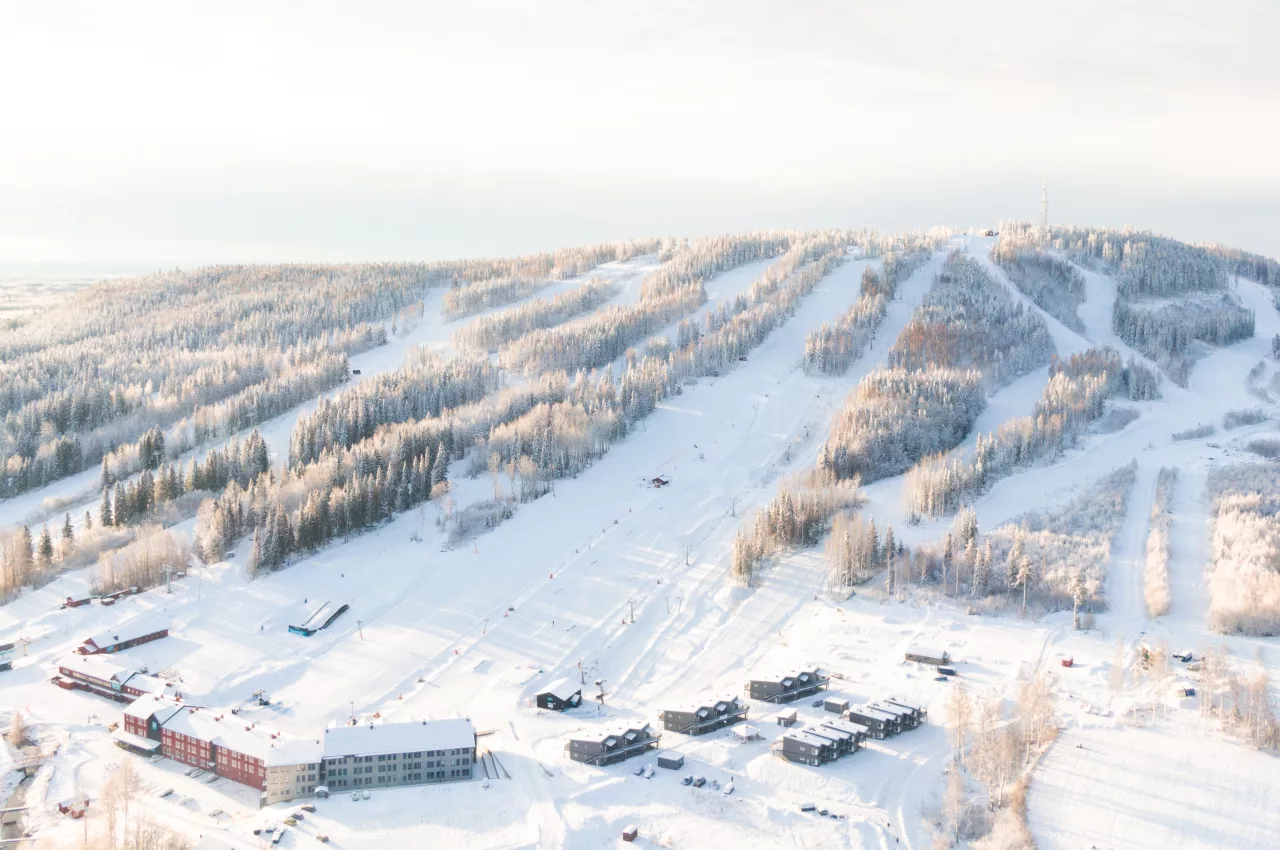 Bilden är från en tidigare säsong. Foto: Pressbild