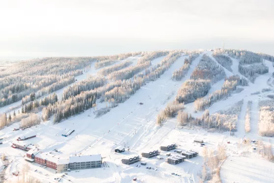 Bilden är från en tidigare säsong. Foto: Pressbild