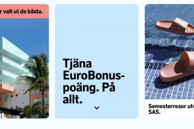 Skärmdump från SAS Holidays.