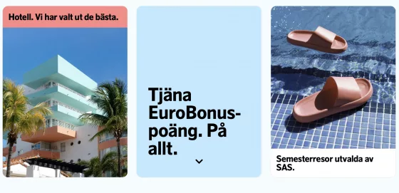 Skärmdump från SAS Holidays.