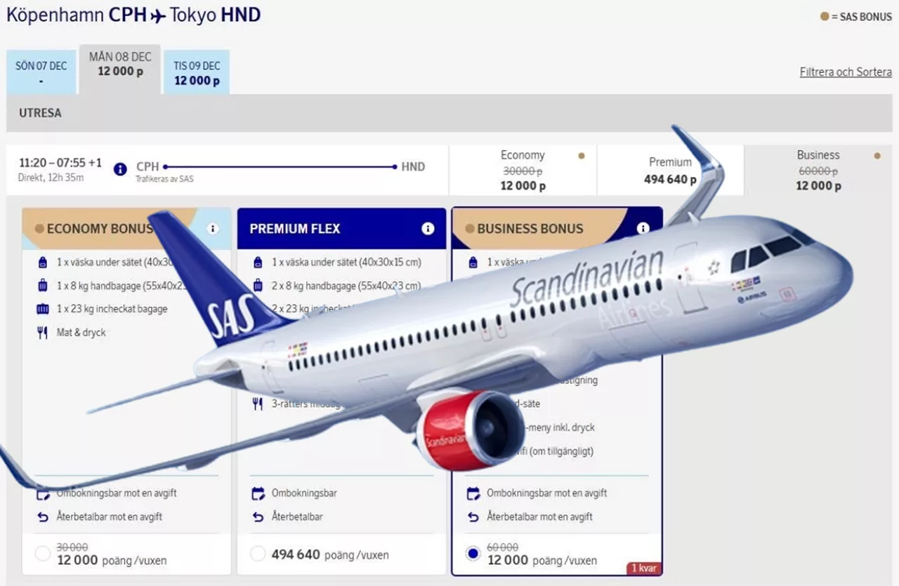 SAS julkalender har läckt – kunder bokade bonusresor till Japan för 12 000 poäng
