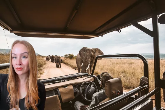 Foto (bakgrundsbild): Unsplash